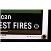 Image 10 : Smokey Bear U.S. Forest Service Porcelain Sign