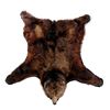 Image 1 : Trophy Alaskan Kodiak Bear Rug MASSIVE