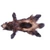 Image 1 : Montana Wolverine Taxidermy Hide