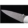 Image 3 : Wooly Mammoth Damascus & Jet Custom Knife
