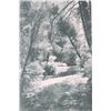 Image 10 : My First Summer in the Sierra by John Muir c. 1911
