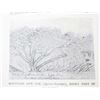 Image 11 : My First Summer in the Sierra by John Muir c. 1911