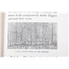 Image 9 : My First Summer in the Sierra by John Muir c. 1911