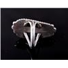 Image 4 : Navajo Signed Scrimshaw Agate & Sterling Ring