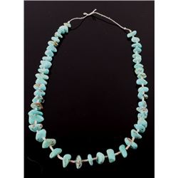 Navajo Dry Creek Turquoise & Heishe Shell Necklace