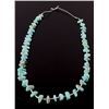 Image 1 : Navajo Dry Creek Turquoise & Heishe Shell Necklace
