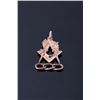 Image 5 : Collection of Four Fraternal Society Watch FOB's