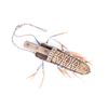 Image 7 : Metis Cree Quilled Sheath & Trade Knife 1830 Style