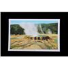 Image 10 : Yellowstone Post Card Photo Collection