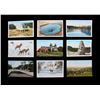 Image 4 : Yellowstone Post Card Photo Collection