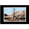 Image 8 : Yellowstone Post Card Photo Collection