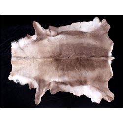 Professionally Tanned Caribou Hide