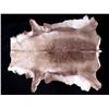 Image 1 : Professionally Tanned Caribou Hide