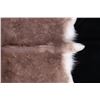 Image 5 : Professionally Tanned Caribou Hide