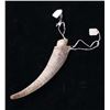 Image 2 : Chief Joseph's Family Nez Perce Sheaths c1805-1877