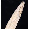 Image 8 : Chief Joseph's Family Nez Perce Sheaths c1805-1877