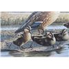 Image 14 : Signed U.S. Water Bird Framed Stamp & Print Sets