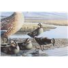 Image 15 : Signed U.S. Water Bird Framed Stamp & Print Sets