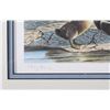 Image 16 : Signed U.S. Water Bird Framed Stamp & Print Sets