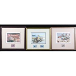 Signed U.S. Water Bird Framed Stamp & Print Sets