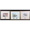 Image 1 : Signed U.S. Water Bird Framed Stamp & Print Sets