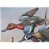 Image 24 : Signed U.S. Water Bird Framed Stamp & Print Sets