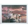 Image 3 : Signed U.S. Water Bird Framed Stamp & Print Sets