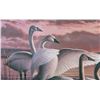 Image 4 : Signed U.S. Water Bird Framed Stamp & Print Sets