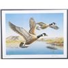Image 11 : Signed Water Bird Framed Prints & Stamp Sets