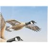 Image 12 : Signed Water Bird Framed Prints & Stamp Sets