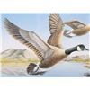 Image 13 : Signed Water Bird Framed Prints & Stamp Sets