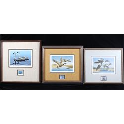 Signed Water Bird Framed Prints & Stamp Sets