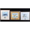 Image 1 : Signed Water Bird Framed Prints & Stamp Sets