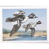 Image 20 : Signed Water Bird Framed Prints & Stamp Sets