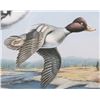 Image 21 : Signed Water Bird Framed Prints & Stamp Sets