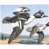 Image 22 : Signed Water Bird Framed Prints & Stamp Sets