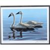 Image 3 : Signed Water Bird Framed Prints & Stamp Sets