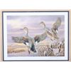 Image 12 : Signed U.S. Game Bird Framed Prints and Stamps