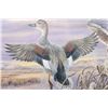 Image 13 : Signed U.S. Game Bird Framed Prints and Stamps