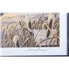 Image 15 : Signed U.S. Game Bird Framed Prints and Stamps