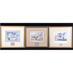 Signed U.S. Game Bird Framed Prints and Stamps