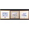 Image 1 : Signed U.S. Game Bird Framed Prints and Stamps
