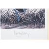 Image 25 : Signed U.S. Game Bird Framed Prints and Stamps