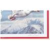 Image 6 : Signed U.S. Game Bird Framed Prints and Stamps