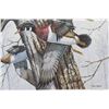 Image 14 : Montana Waterfowl Framed Prints & Stamp Set