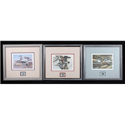 Montana Waterfowl Framed Prints & Stamp Set