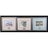 Image 1 : Montana Waterfowl Framed Prints & Stamp Set