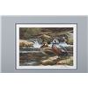 Image 22 : Montana Waterfowl Framed Prints & Stamp Set