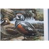 Image 23 : Montana Waterfowl Framed Prints & Stamp Set