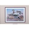 Image 3 : Montana Waterfowl Framed Prints & Stamp Set